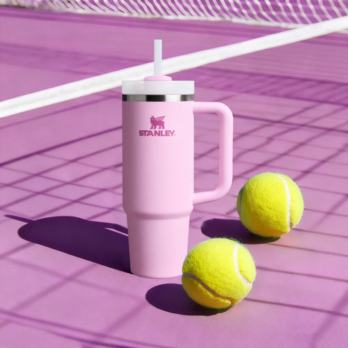 Stanley Everyday Tumbler